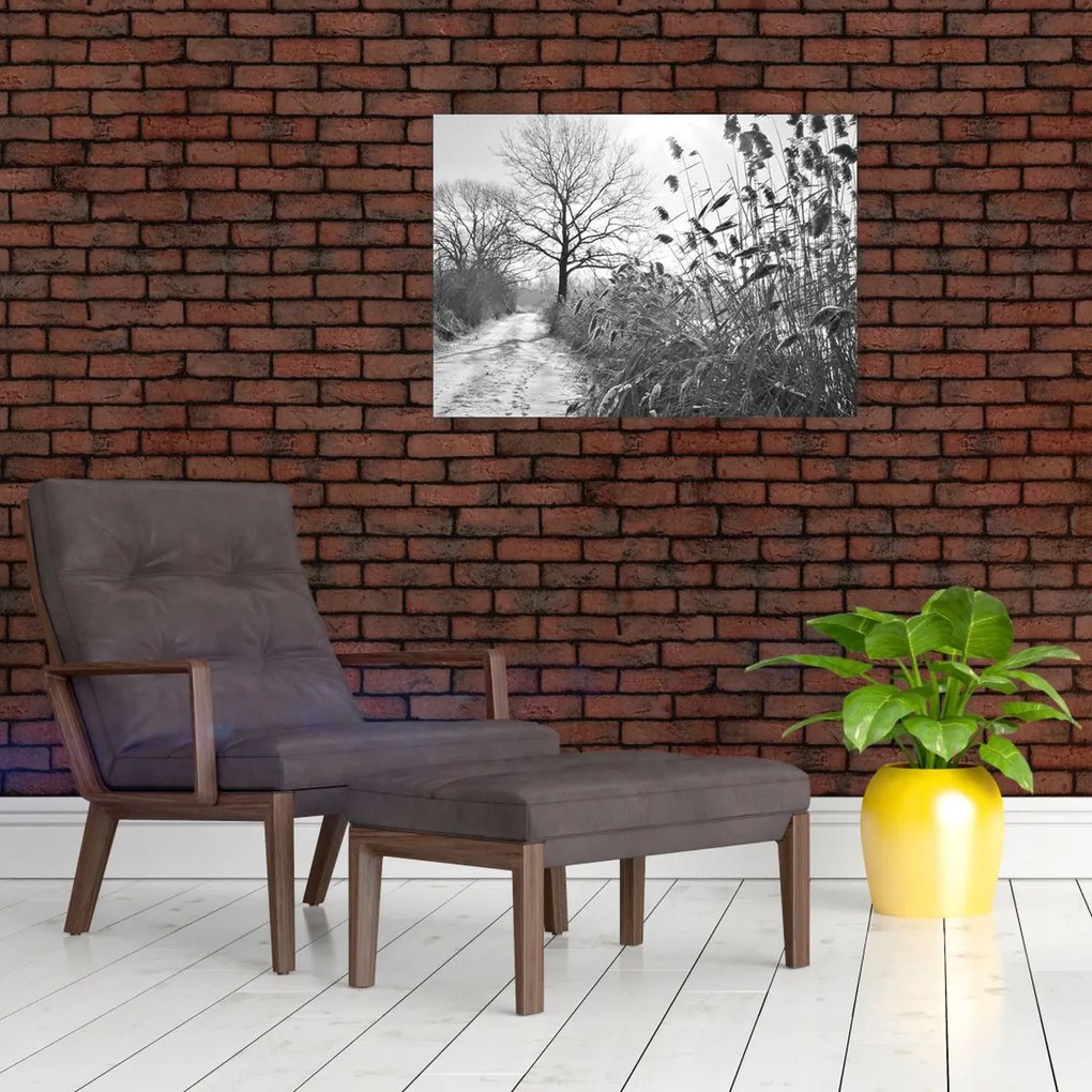 Tablou pe sticlă - Câmpuri în timpul iernii (70x50 cm)