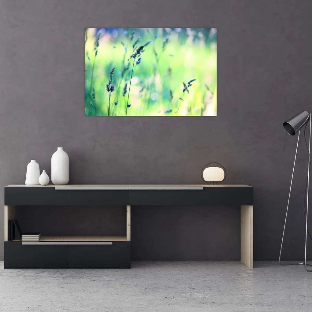 Tablou - Detaliu pajiște (90x60 cm)