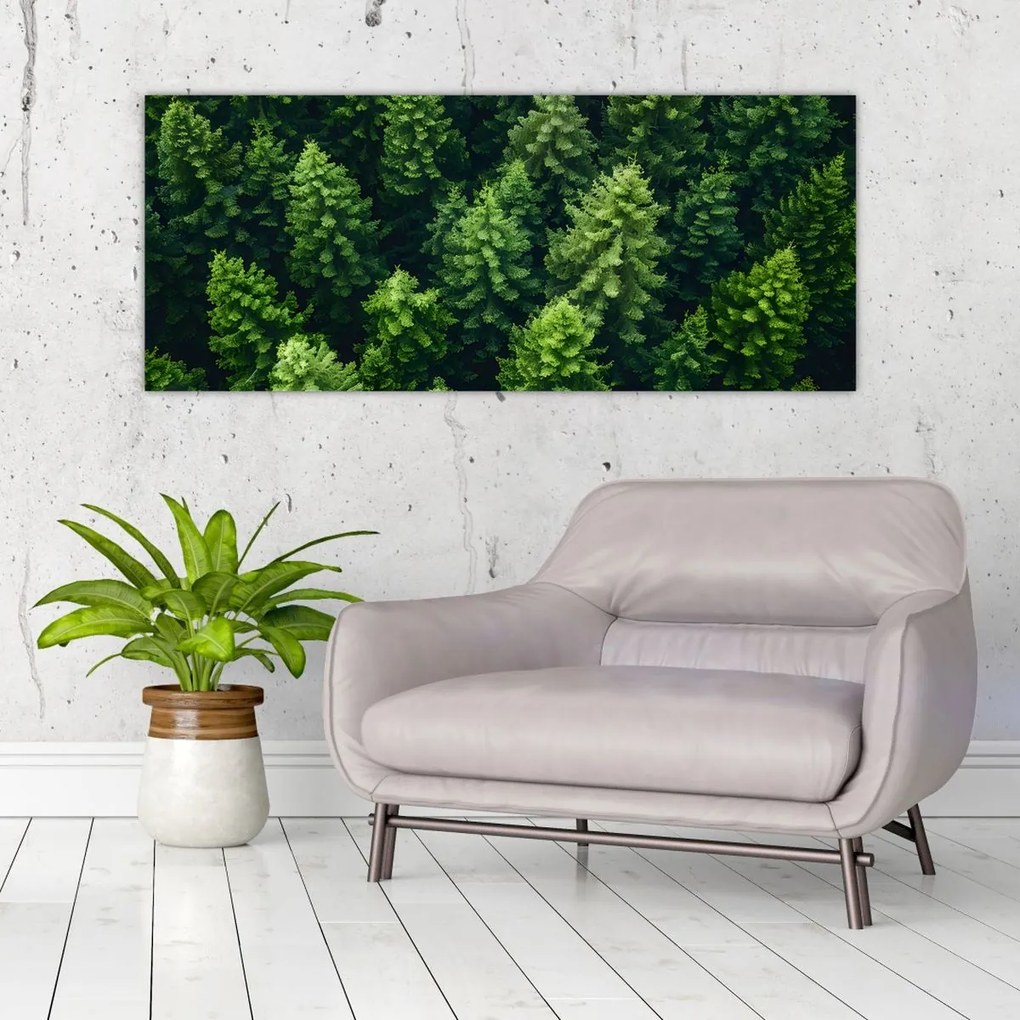Tablou - Pădure (120x50 cm)