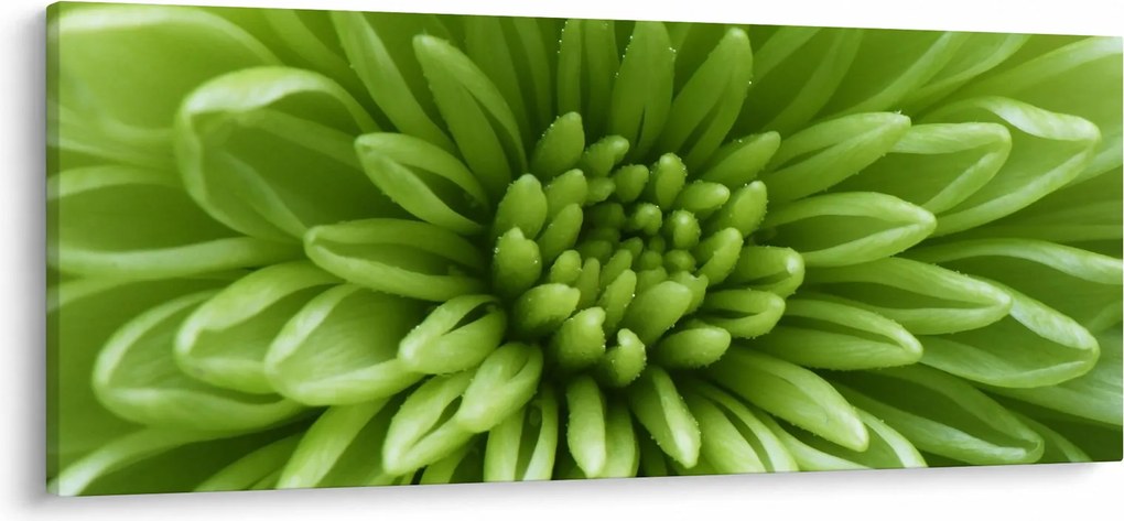 Tablou - Imagine macro a unei plante (120x50 cm)