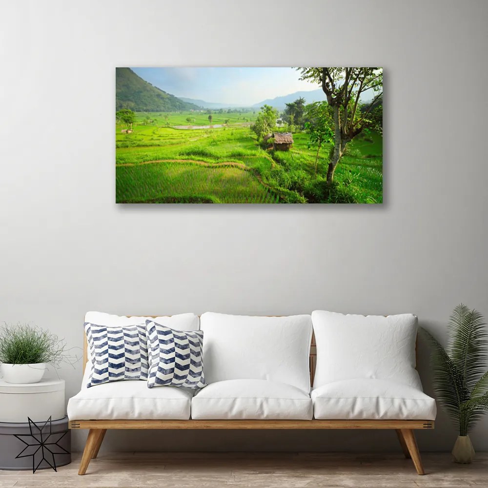 Tablou pe panza canvas Meadow Natura verde