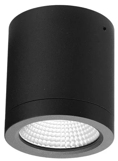 Spot LED aplicat de exterior IP54 CONYON 10W CCT SWITCH