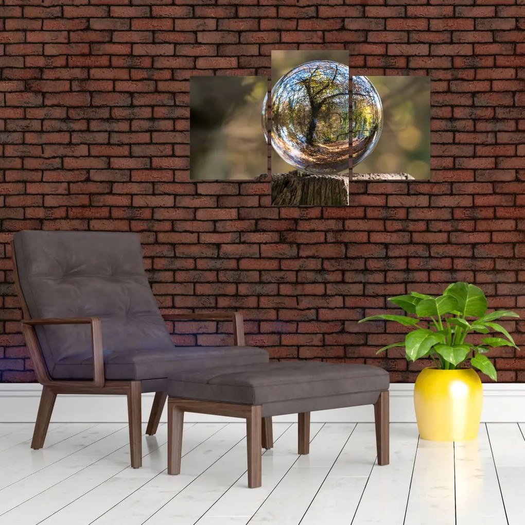 Tablou - Reflecție intr-o sferă transparentă (90x60 cm)