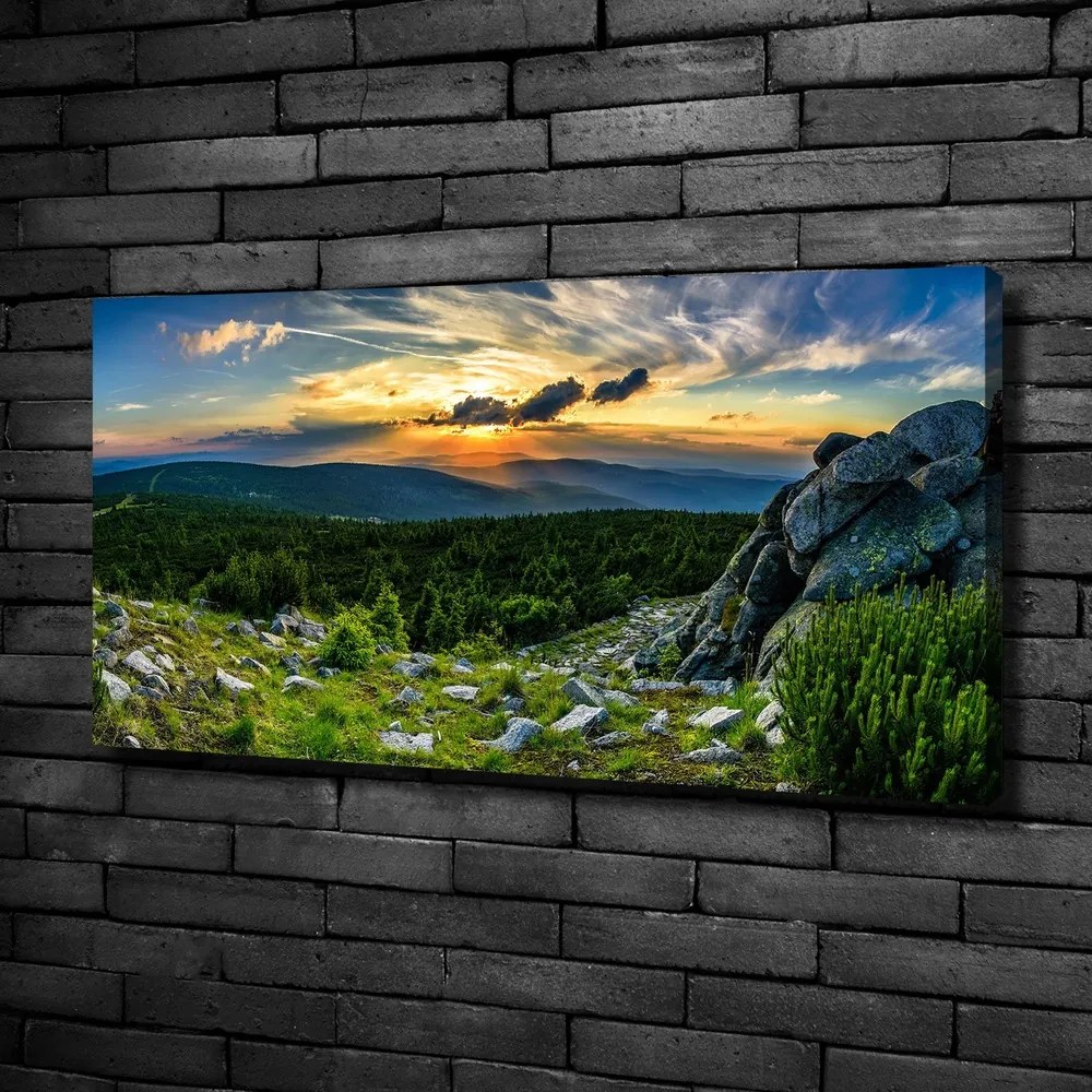 Print pe pânză Panorama de munte