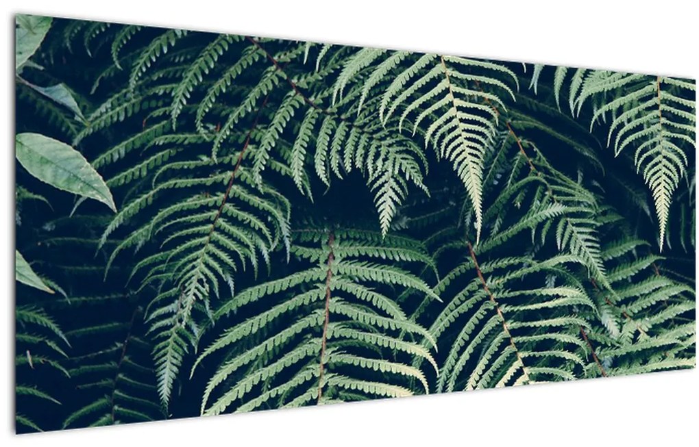 Tablou cu frunze de ferigă (120x50 cm)