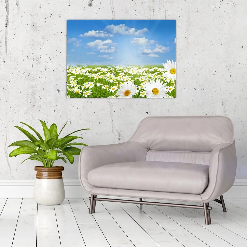 Tablou pe sticlă cu luncă înflorită cu margarete (70x50 cm)