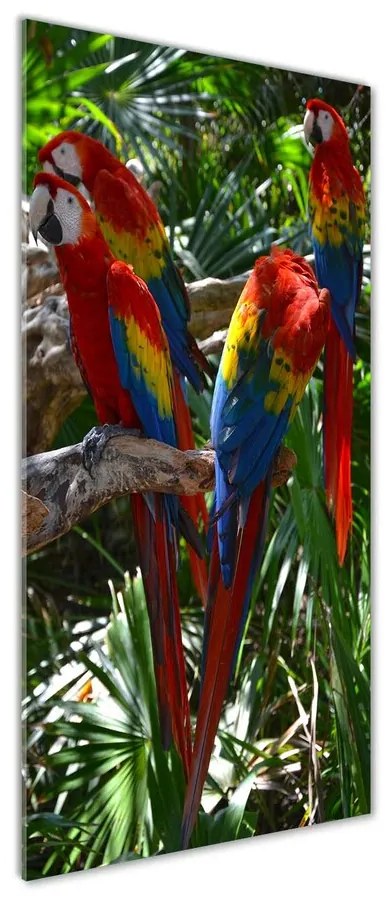Tablou din Sticlă Papagali Macaws