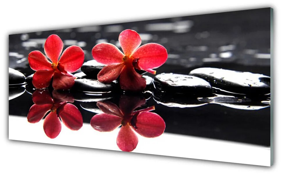 Tablouri acrilice Pietrele florale flori Roșu Negru