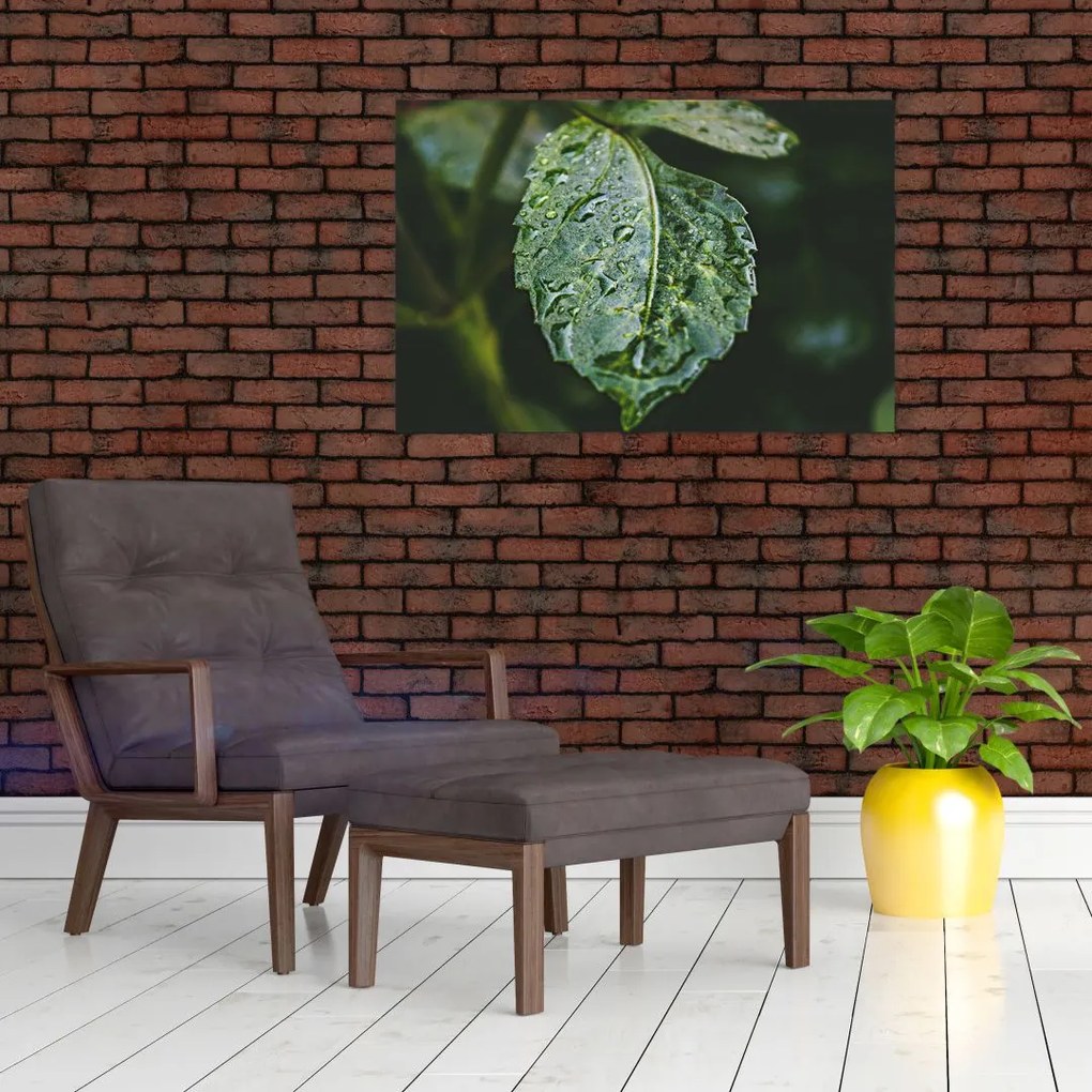 Tablou - picături pe frunză (90x60 cm)