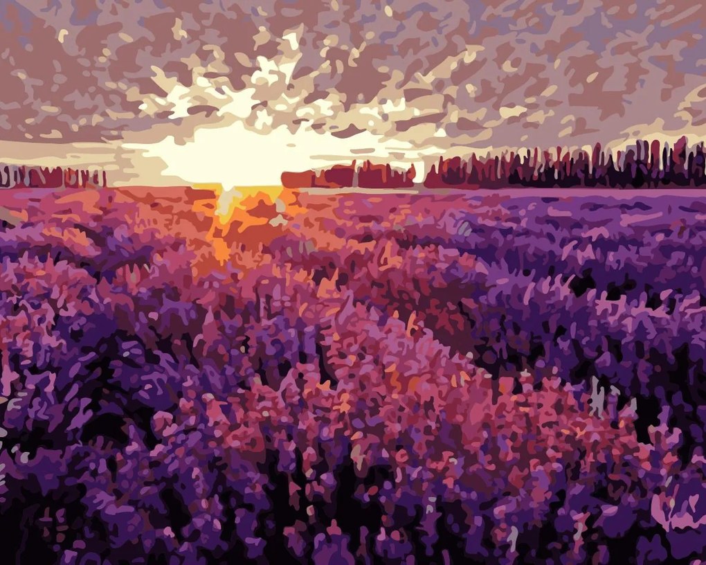 Pictura pe numere cu un cadru "Câmp de lavandă" 50x40 cm