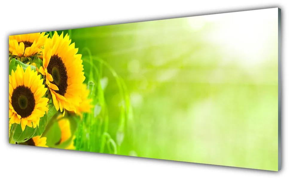 Tablou pe sticla Floarea soarelui Floral Brun Galben Verde