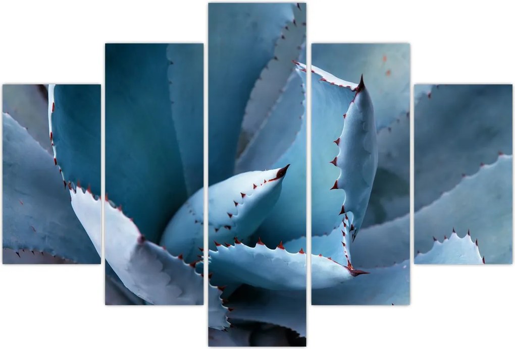 Tablou - Agave (150x105 cm)