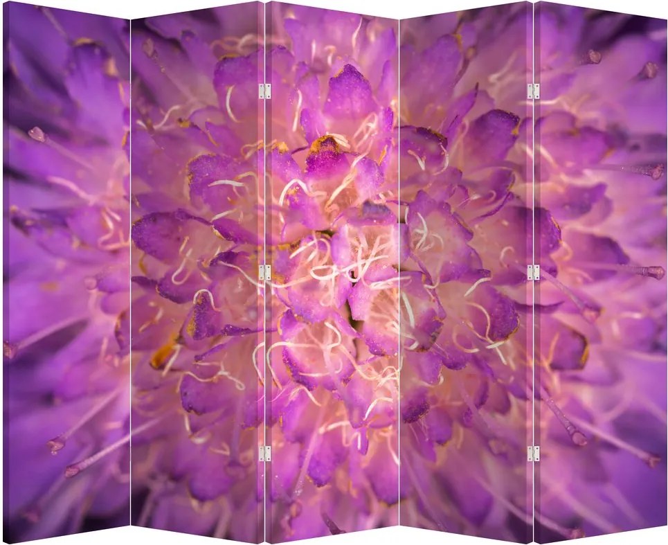 Paravan - Floare detailat (210x170 cm)