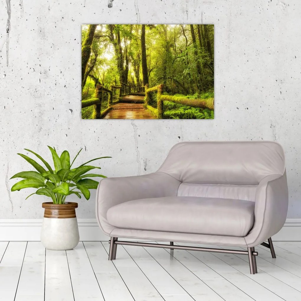 Tablou junglei cu mușchi (70x50 cm)