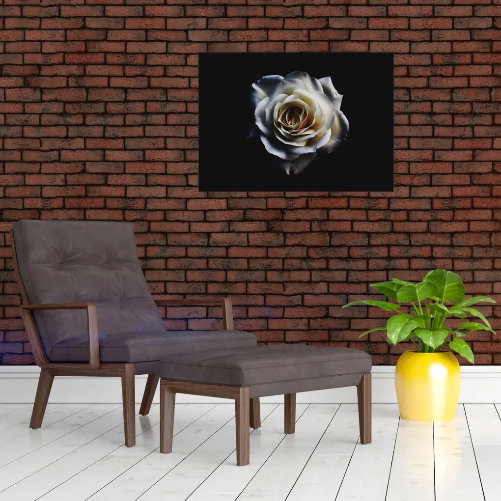 Tablou cu trandafir alb (70x50 cm)