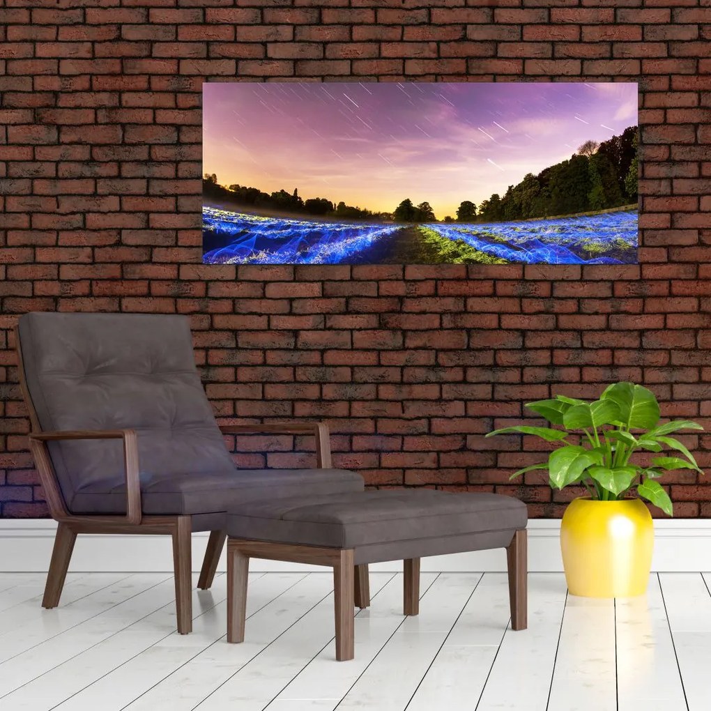 Tablou cu câmp colorat (120x50 cm)