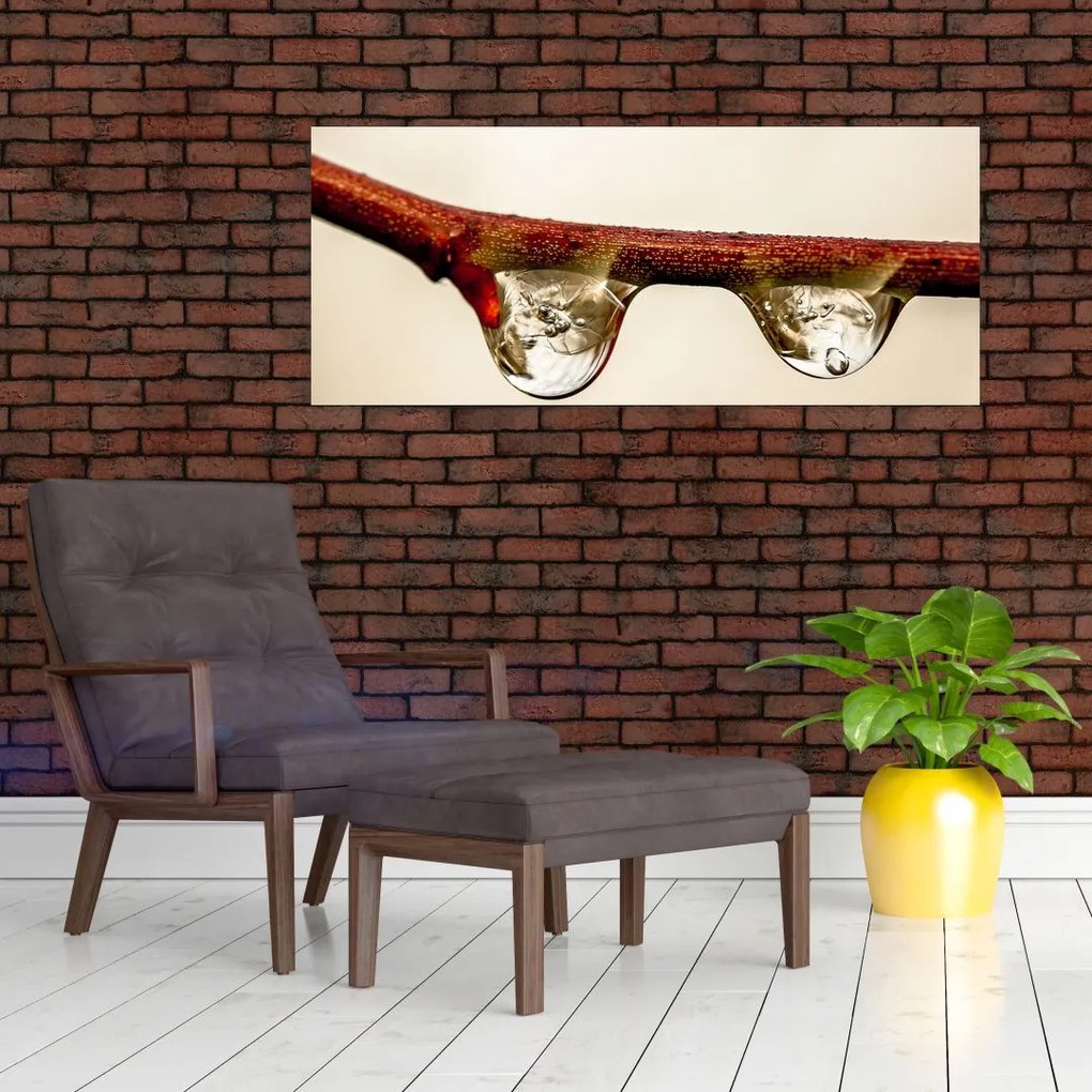 Tablou cu picături de apă pe creangă (120x50 cm)