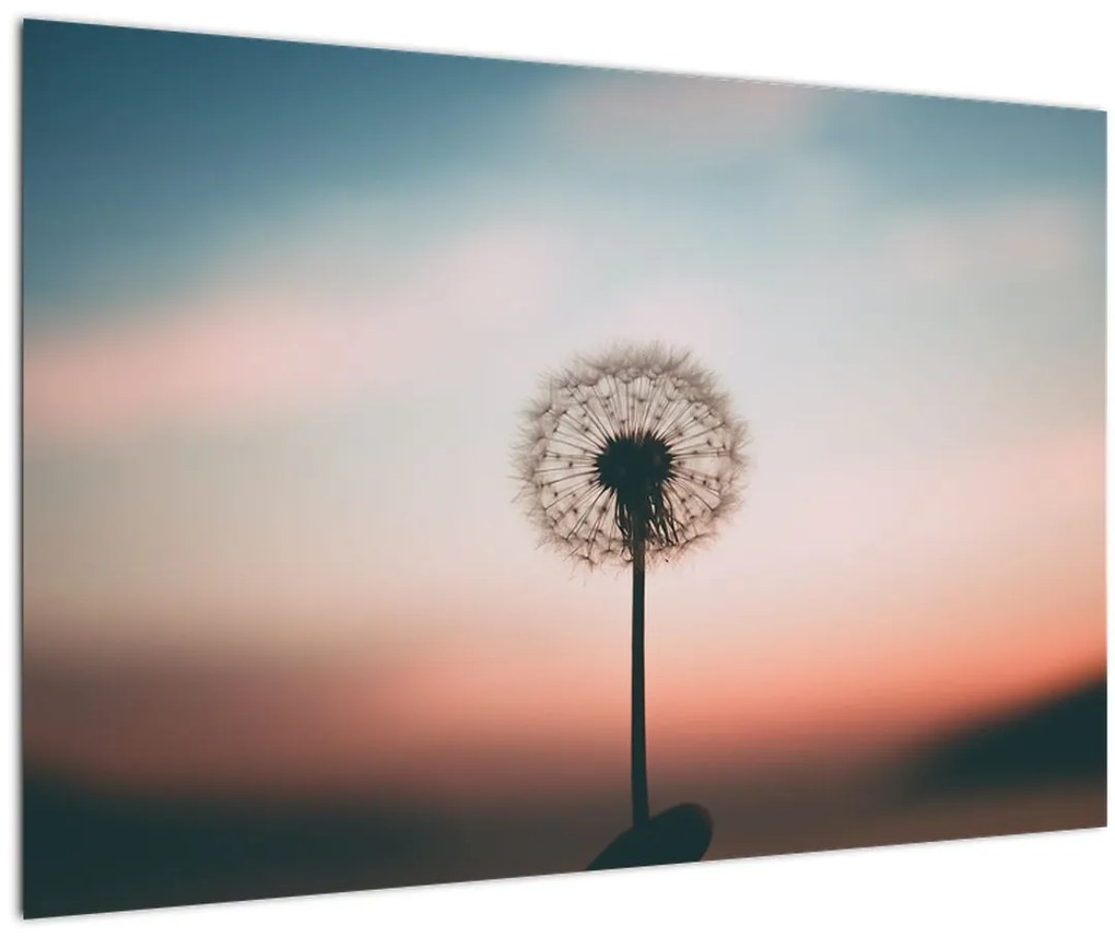 Tablou - Te țin, păpădie (90x60 cm)