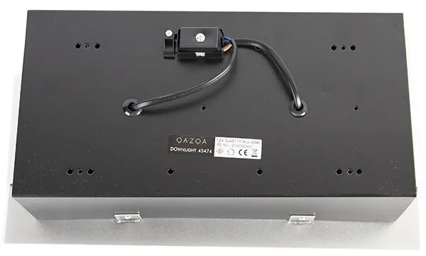 Spot integrat din oțel AR111 reglabil cu 2 lumini - Oneon