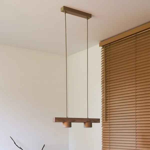 Duolla - Lustra suspendată pe cablu IRONLINE 2xGX53/3W/230V pin/stejar/bej