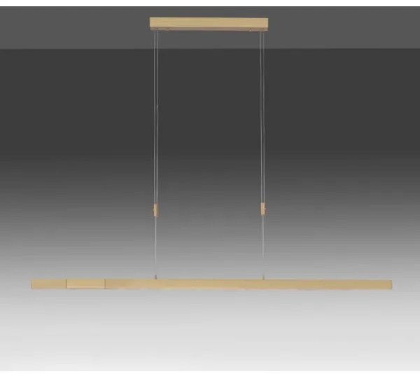 Lustră LED dimabilă pe cablu Paul Neuhaus 2568-60 ADRIANA LED/14W/230V alămie