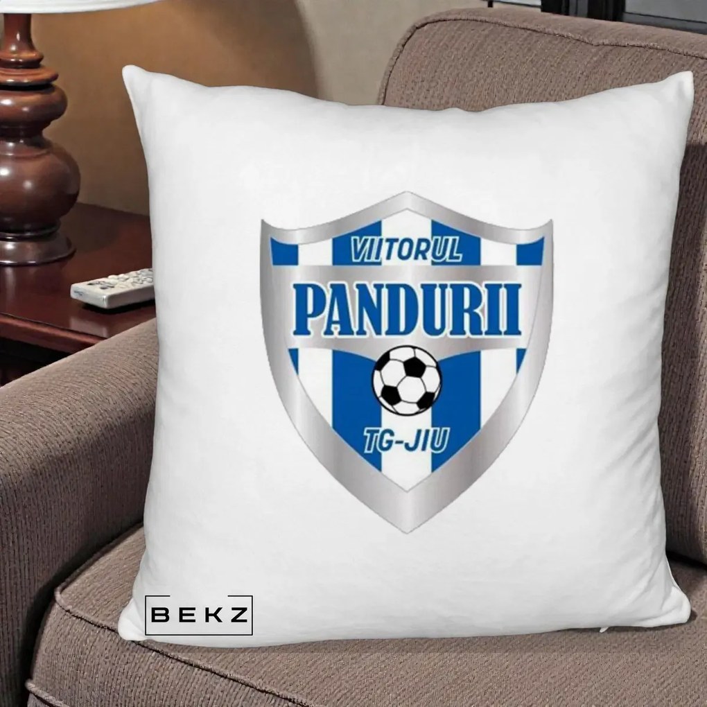 Perna Personalizata Pandurii Targu Jiu Fotbal, 40x40 cm, Alb Pufos, Husa Detasabila, Perna Inclusa, BEKZ®