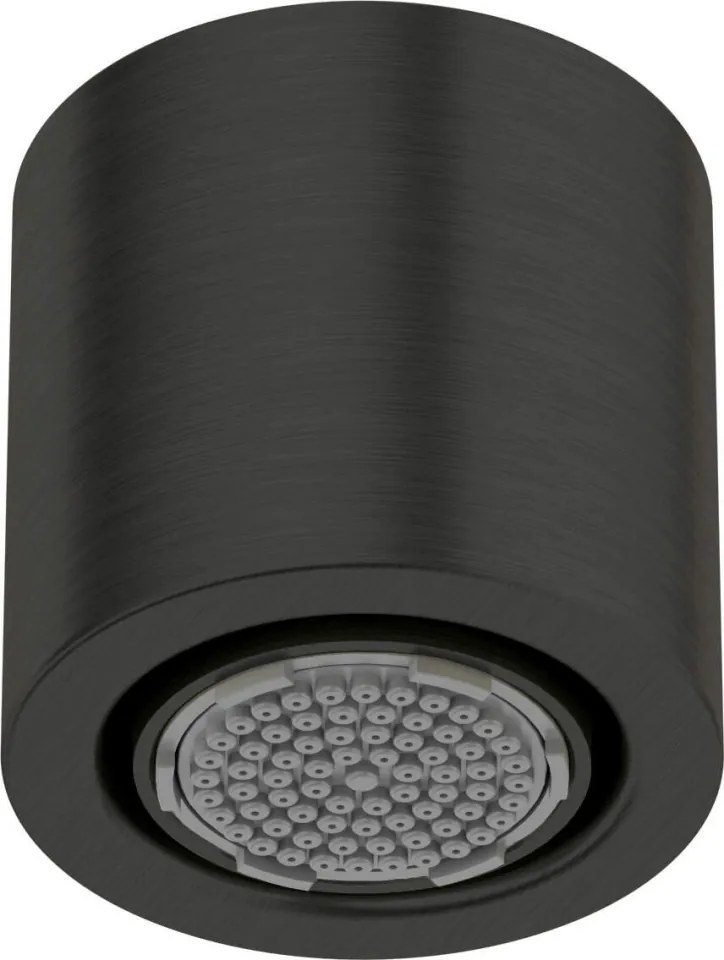 Silia Pălărie de duș fixă, 1-funcție NQS_N30K