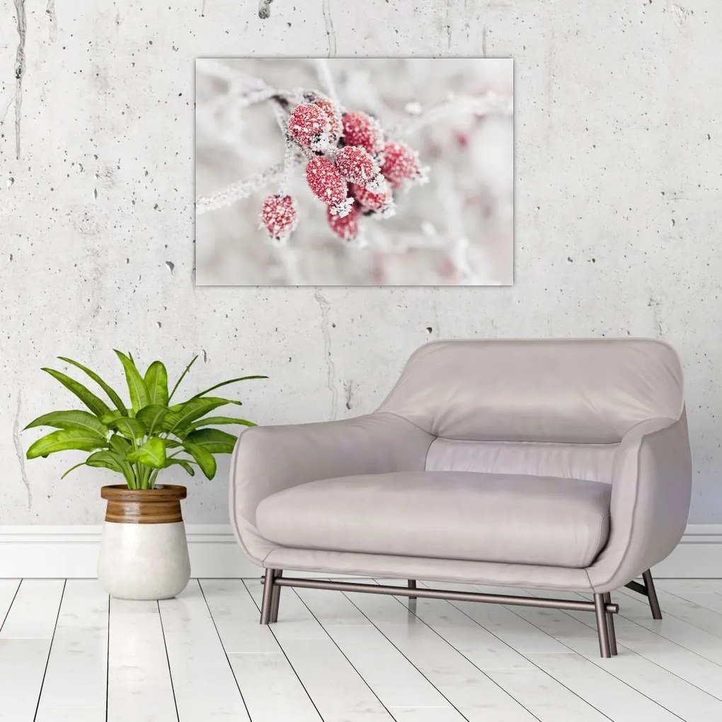 Tablou pe sticlă - Fructe congelate (70x50 cm)