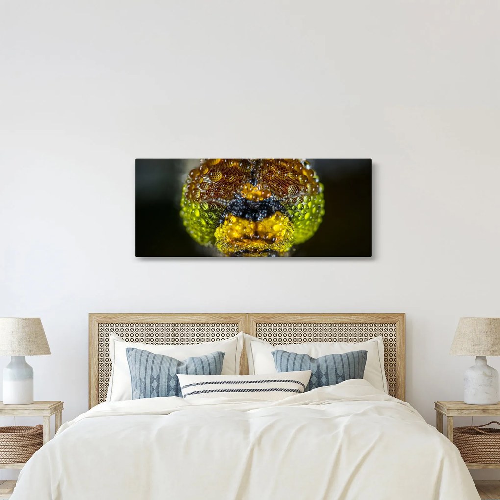 Tablou detailat cu ochii de omidă (120x50 cm)