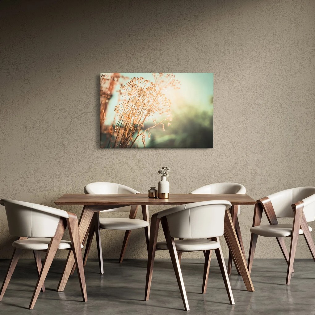Tablou - Plante după ploaie (90x60 cm)