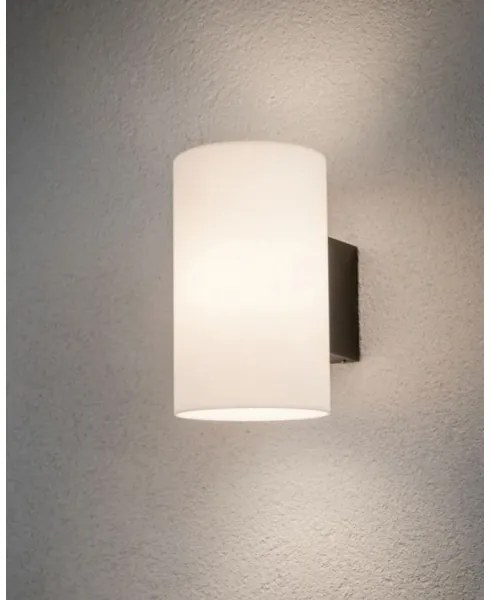 Aplică de exterior 1xE27/15W IP54 TUBE 230V Paulmann 94186