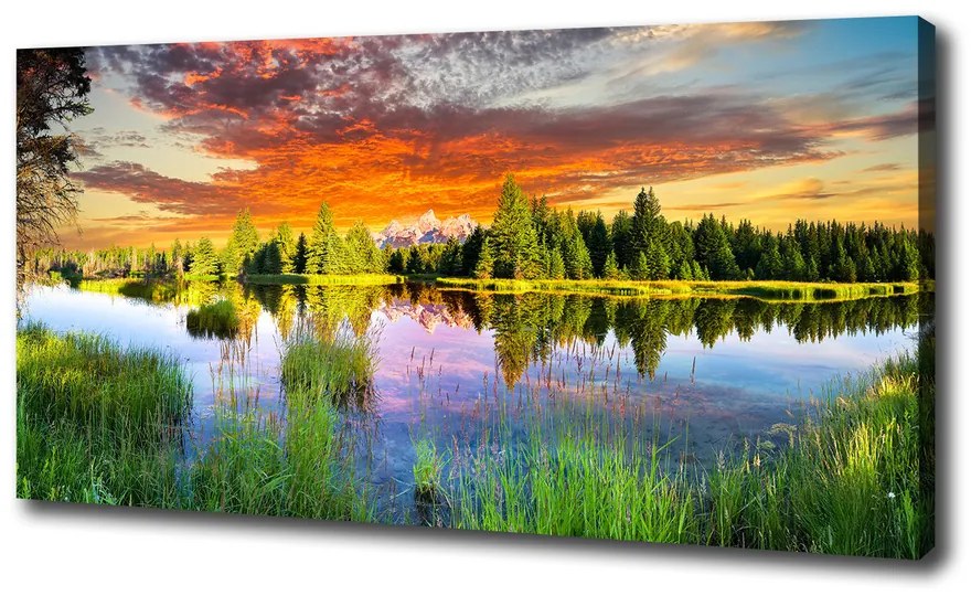 Print pe pânză Râul în pădure