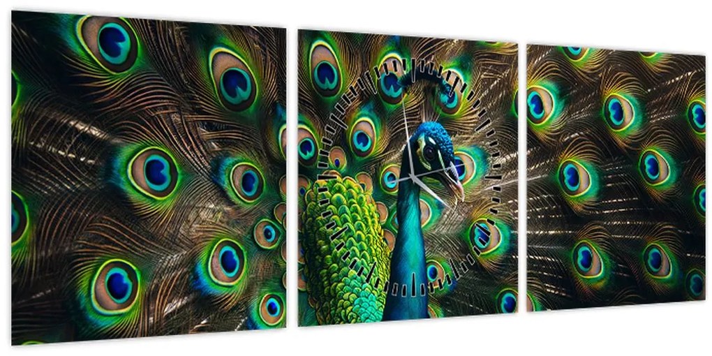 Tablou – Păun (cu ceas) (90x30 cm)