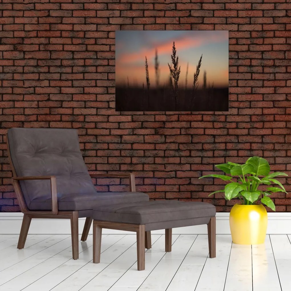 Tablou pe sticlă - Silueta plantei (70x50 cm)