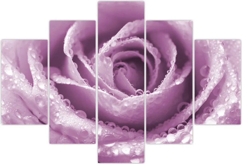 Tablou detaliu de floare de trandafir (150x105 cm)