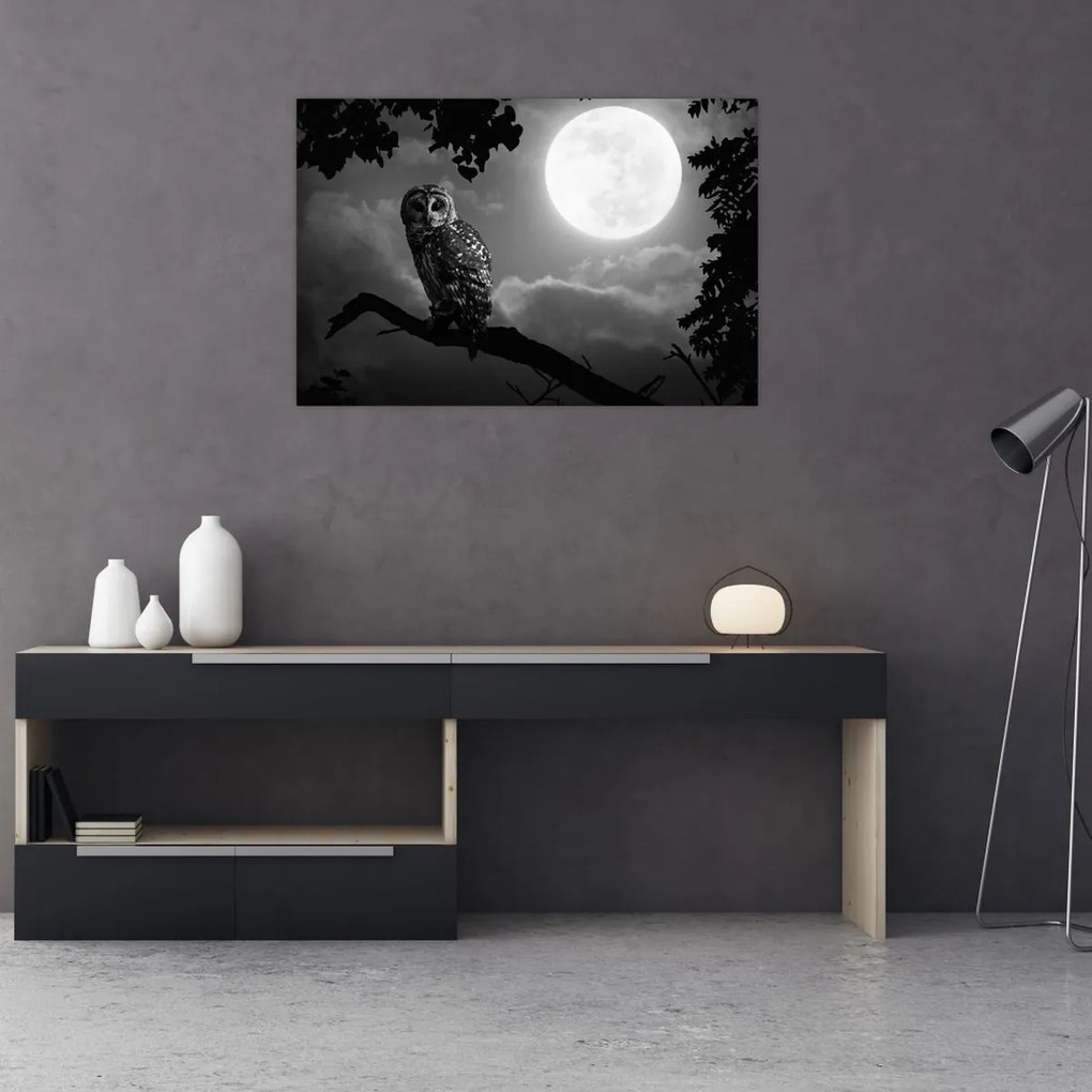 Tablou - Bufniță de noapte, alb și negru (90x60 cm)