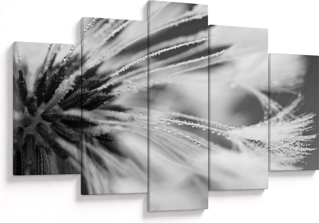 Tablou - Macro,alb-negru (150x105 cm)