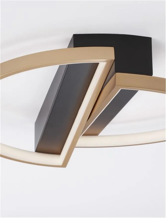 Lustra LED aplicata design modern ELIZE II 28W