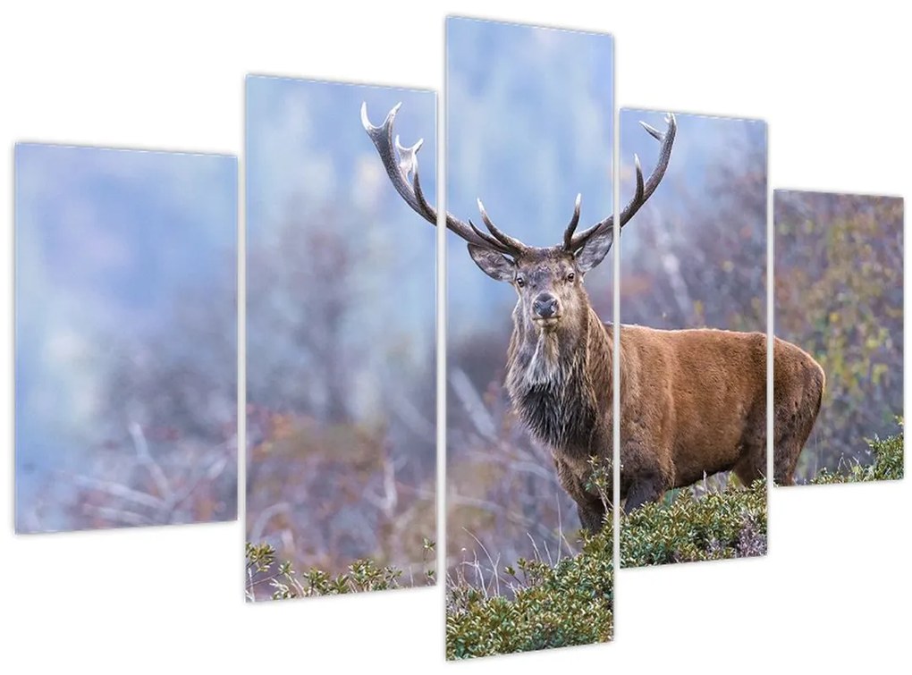 Tablou - Cerb în peisaj (150x105 cm)