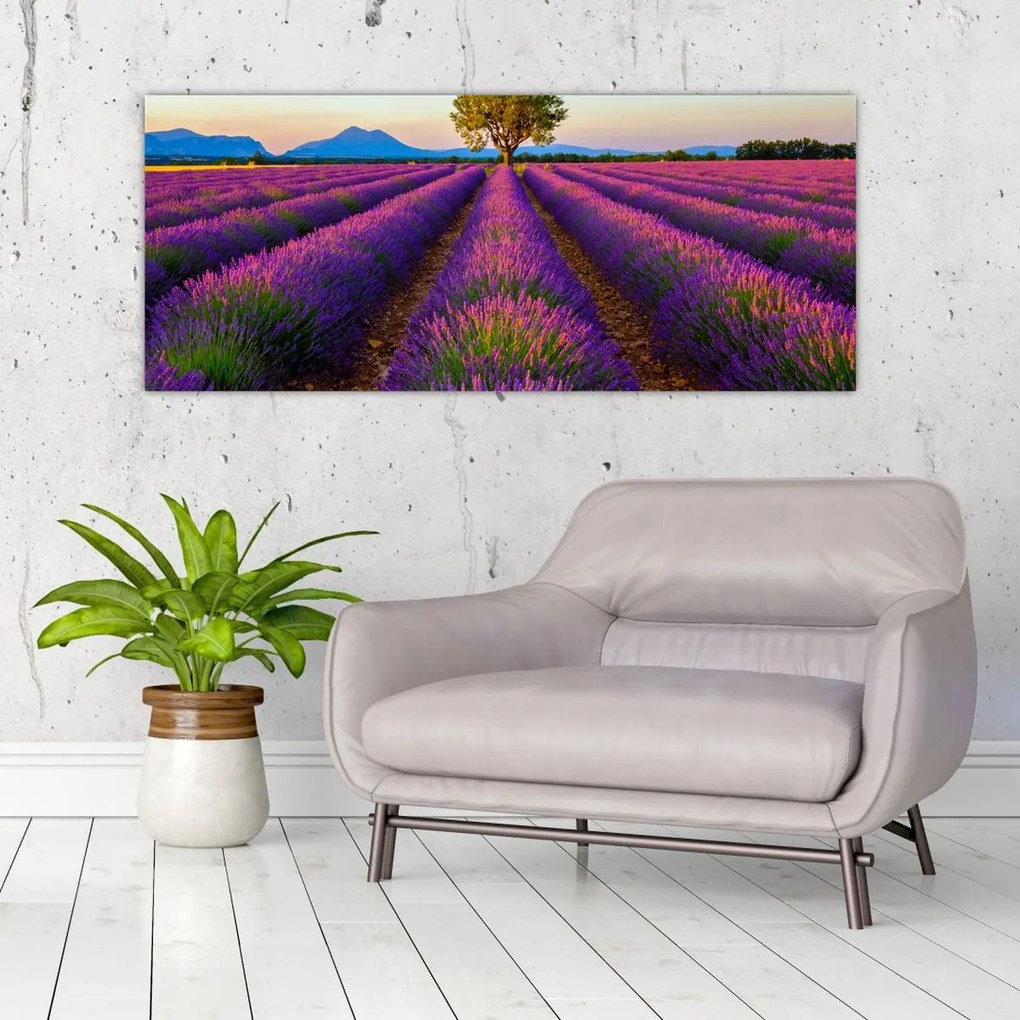 Tablou - Câmp de lavandă (120x50 cm)
