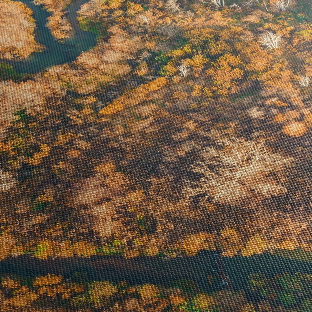 Tablou - Râu în formă de inimă (120x50 cm)