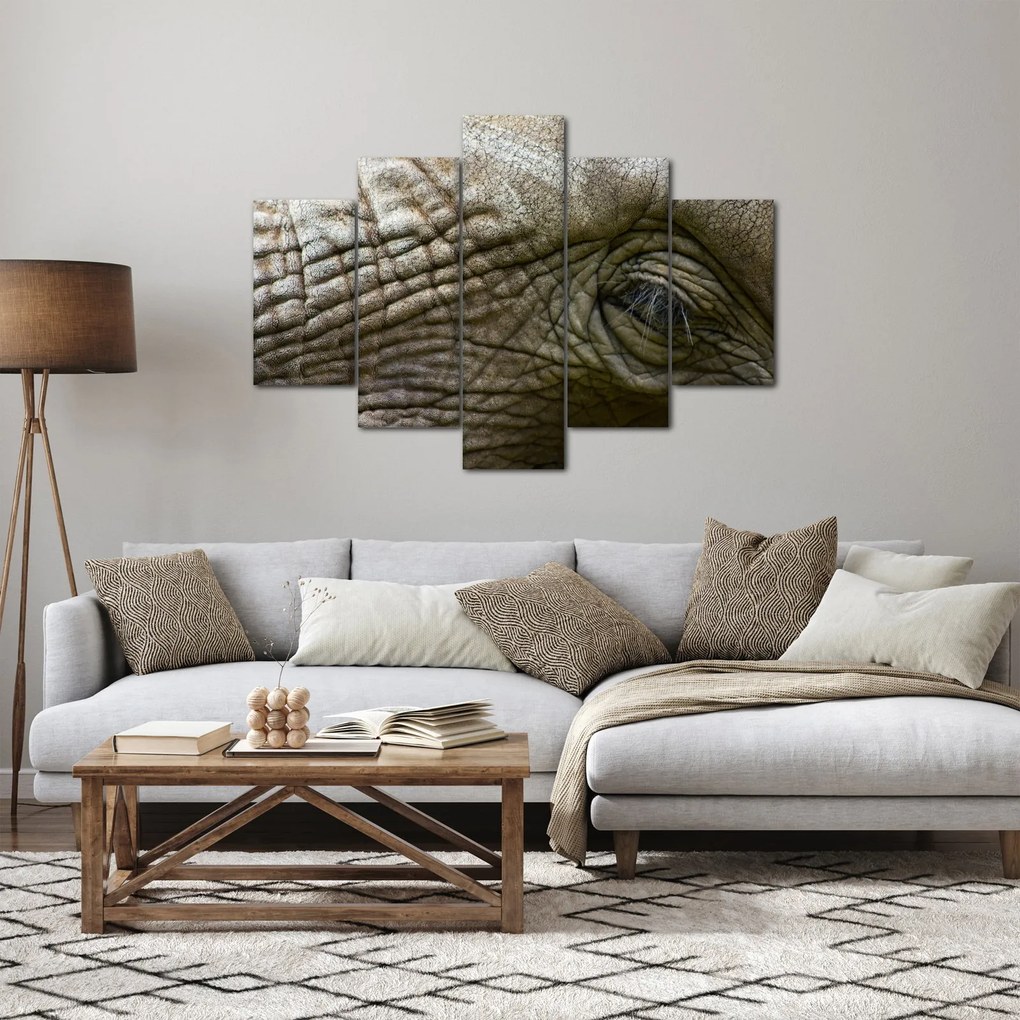 Tablou - Prim-planul ochiului de elefant vechi (150x105 cm)