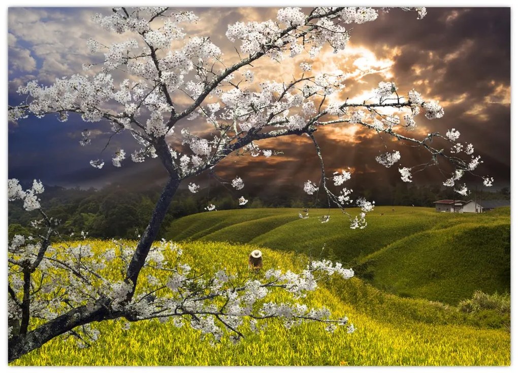 Tablou pe sticlă - Peisaj cu pomul înflorit (70x50 cm)