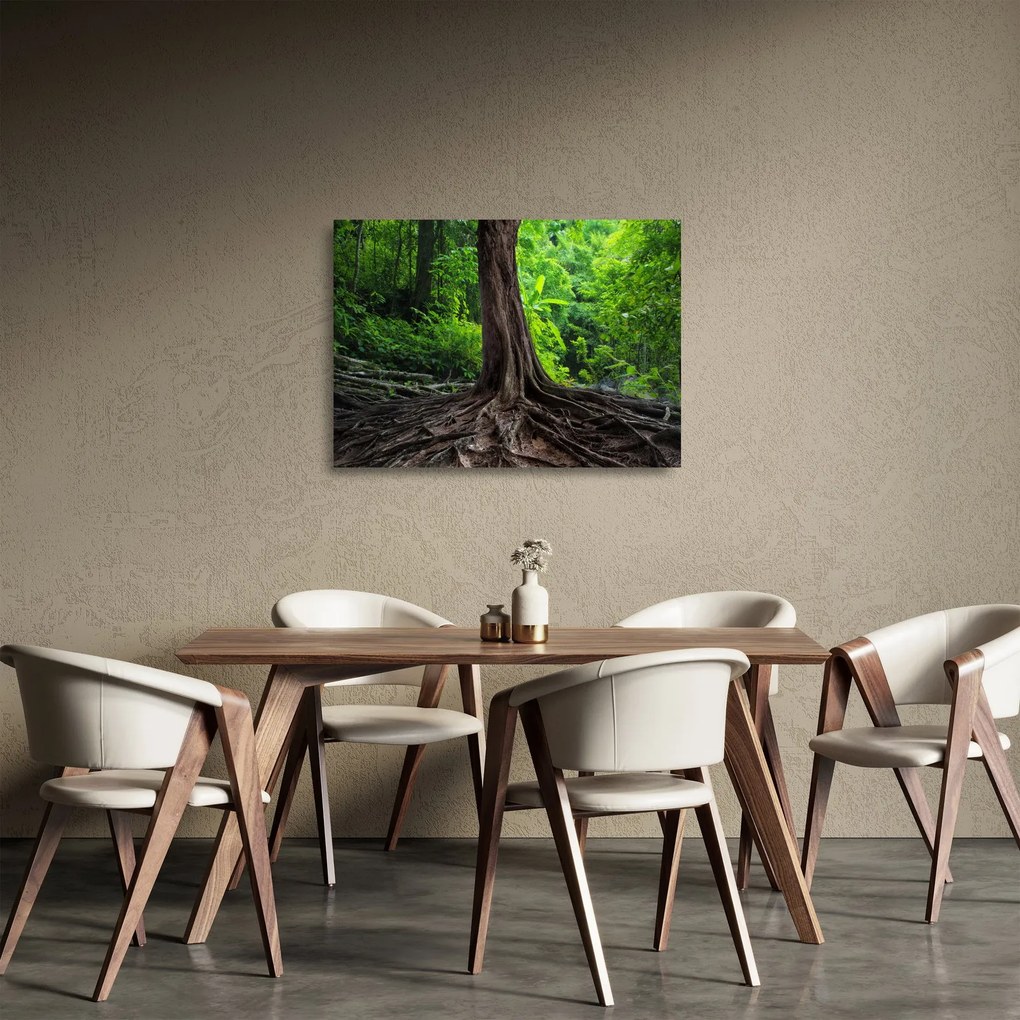 Tablou pe sticlă - Copac bătrîn cu rădăcini (70x50 cm)