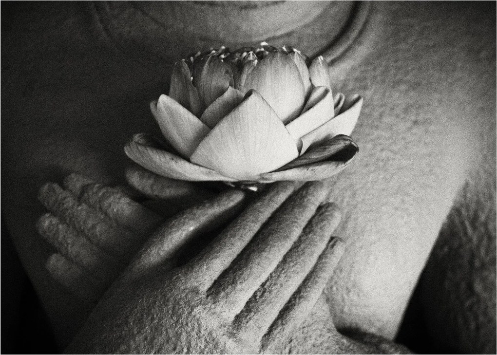 Tablou - Lotus în mâinile lui Buddha (70x50 cm)