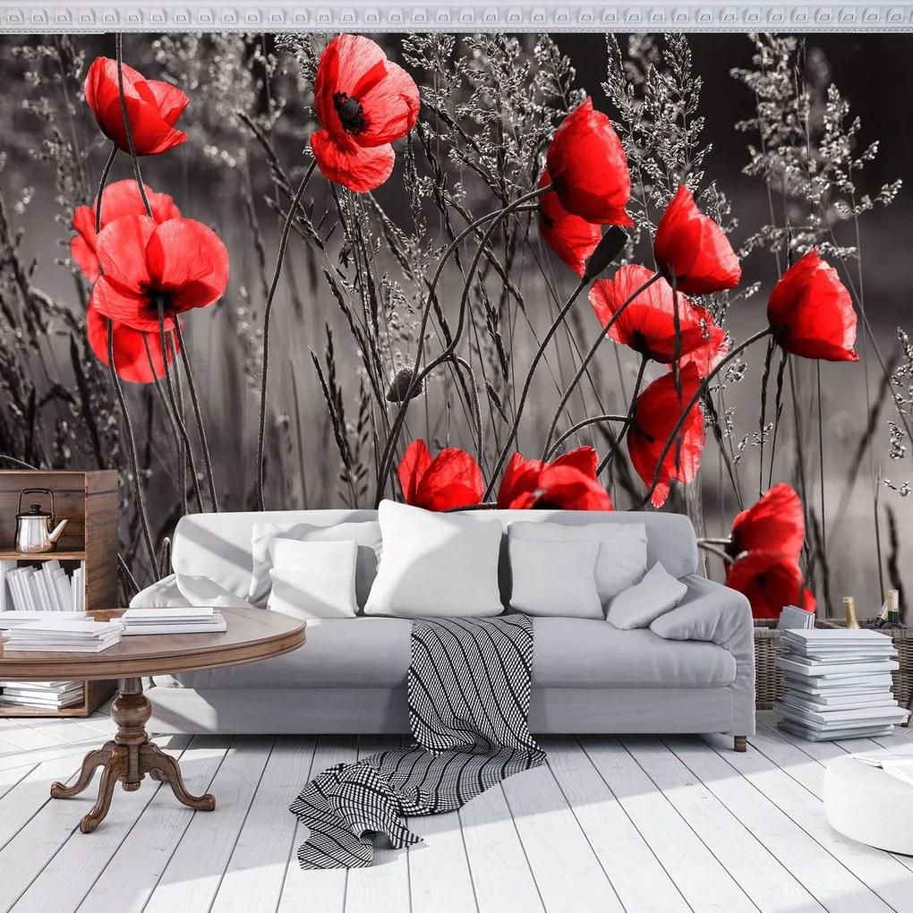 Fototapet - Mac (152,5x104 cm)