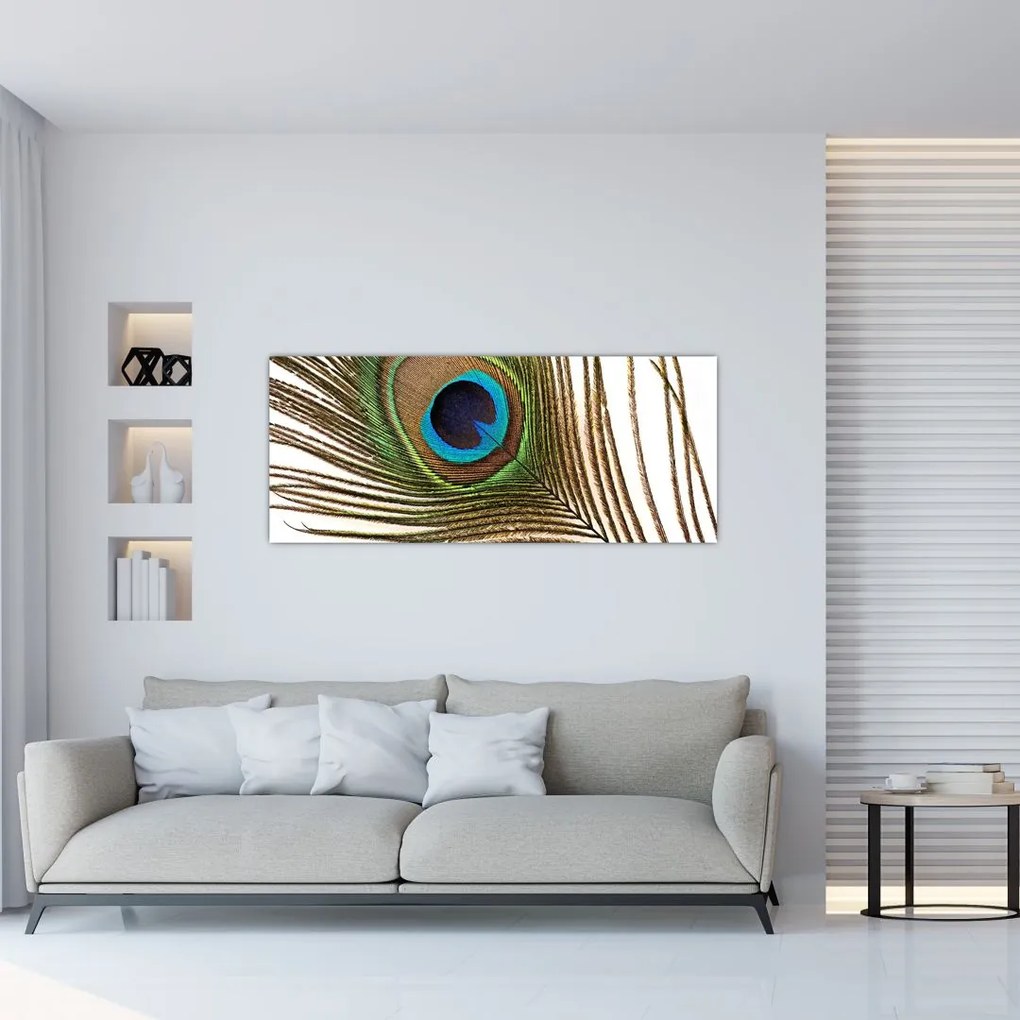Tablou cu pene de păun (120x50 cm)