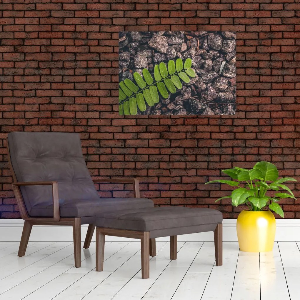 Tablou cu planta verde (70x50 cm)