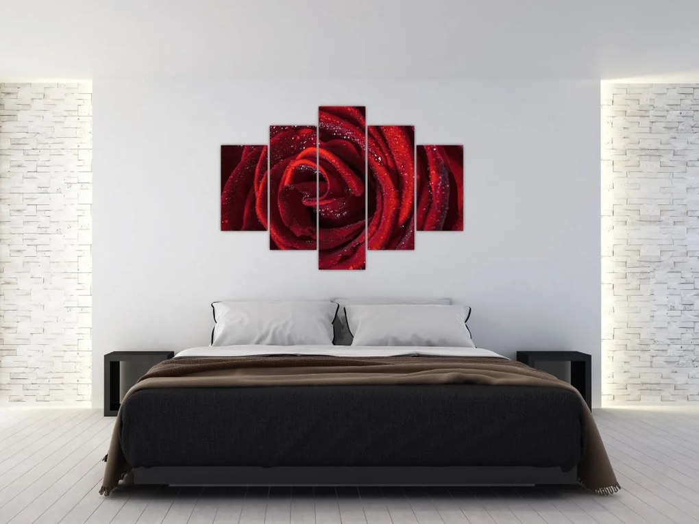 Tablou - Trandafir roșu cu picături de rouă (150x105 cm)