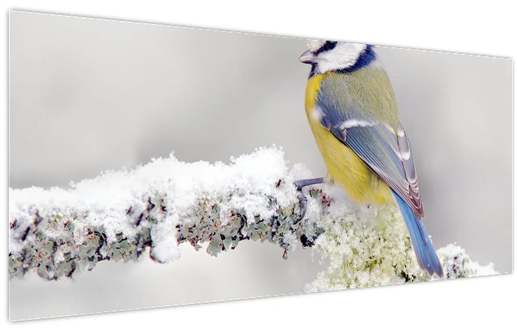 Tablou - Pițigoi (120x50 cm)